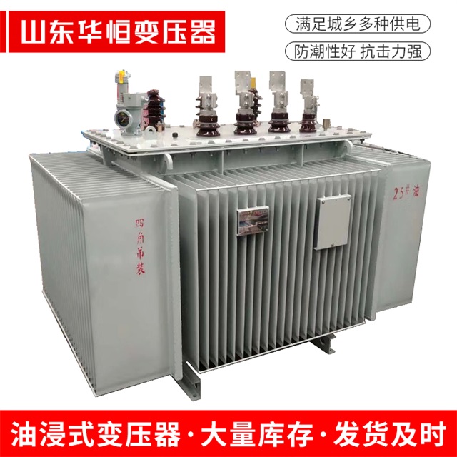 S13-10000/35阜新阜新阜新电力变压器厂家