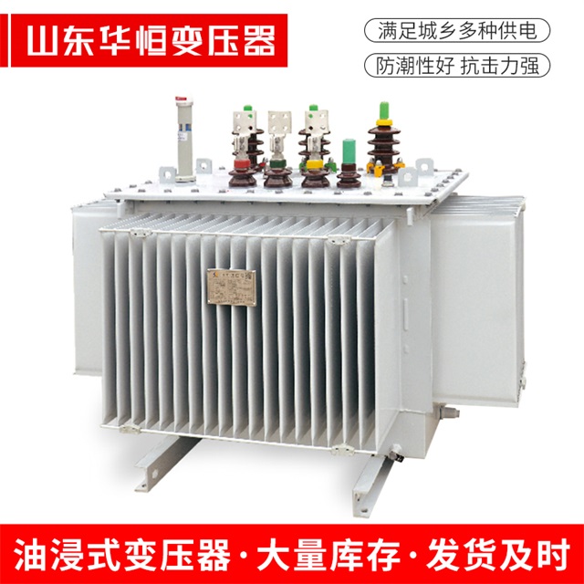 S13-10000/35阜新阜新阜新电力变压器